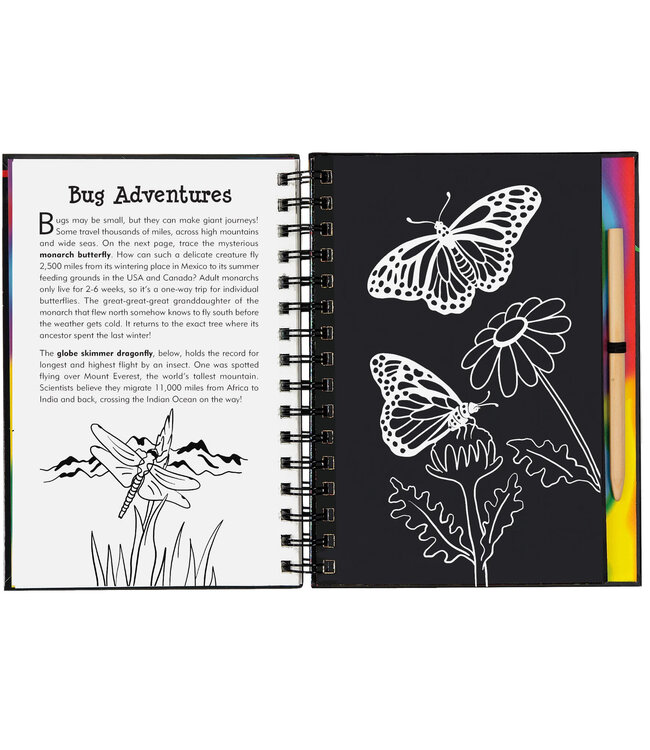 Peter Pauper Press Scratch  & Sketch Bugs Trace Along