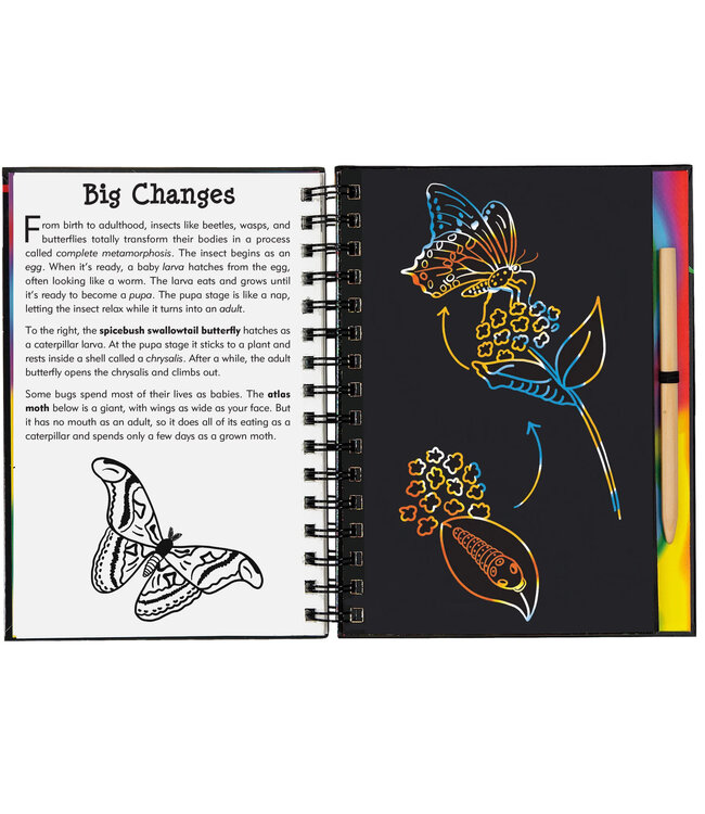 Peter Pauper Press Scratch  & Sketch Bugs Trace Along