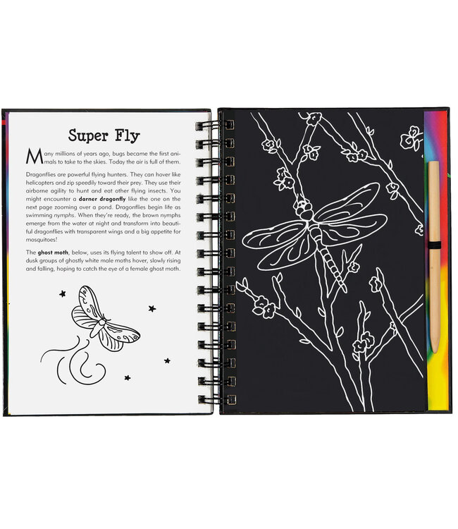 Peter Pauper Press Scratch  & Sketch Bugs Trace Along