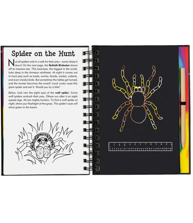 Peter Pauper Press Scratch  & Sketch Bugs Trace Along