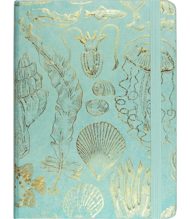 Peter Pauper Press Journal Mid Sealife Sketches