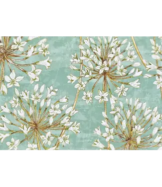 Peter Pauper Press Note Card Allium Blossoms