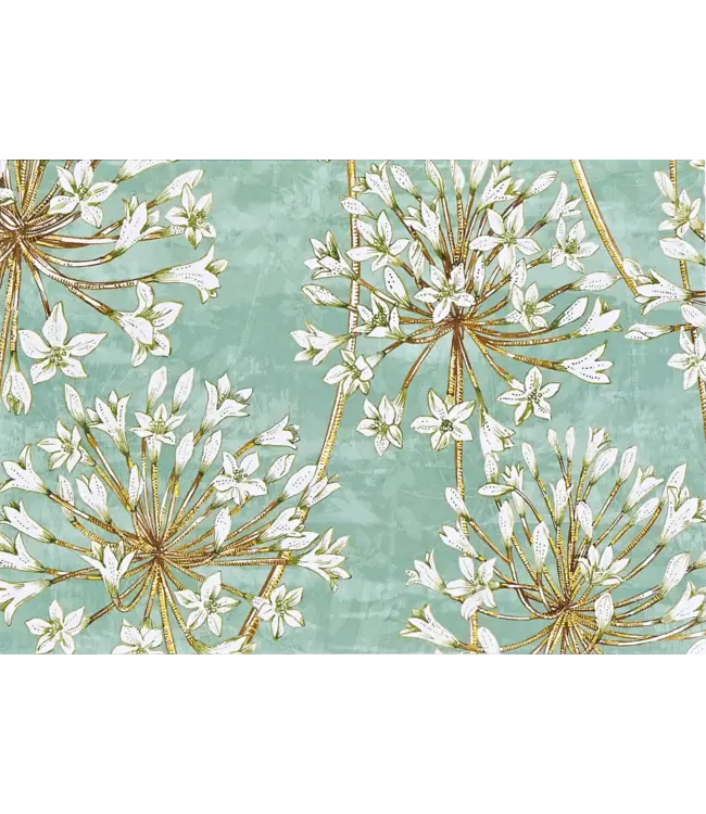 Peter Pauper Press Note Card Allium Blossoms