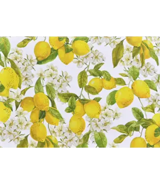 Peter Pauper Press Note Card Amalfi Lemons