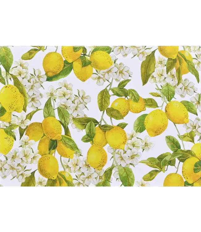 Peter Pauper Press Note Card Amalfi Lemons