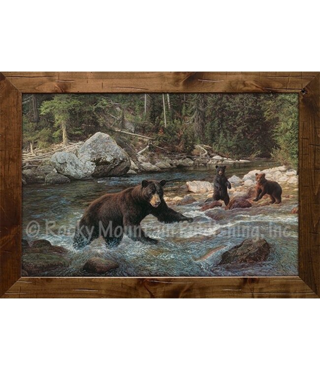 Rocky Mountain Publishing Chasing Rainbows 7x10 canvas