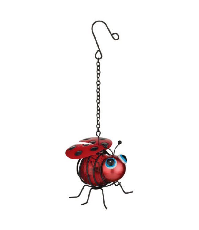 Regal Mini Bug Solar Lantern Ladybug