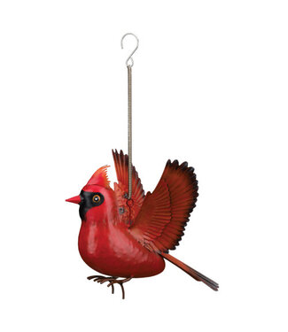Regal Bird Bouncie Cardinal
