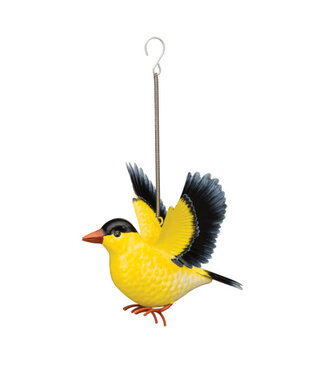 Regal Bird Bouncie Gold Finch