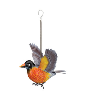 Regal Bird Bouncie Robin
