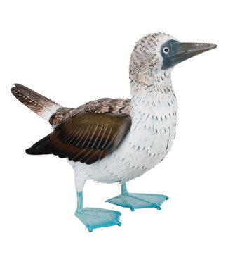 Regal Blue Footed Booby Decor