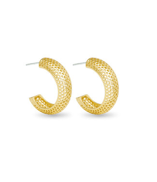 Amanda Blu Madelyn Polished Mesh Hoop Gold