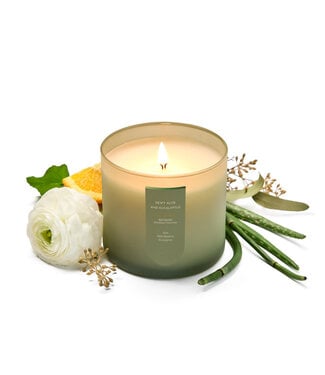 Cue Candles 8.5 OZ FROSTED SAGE DEWY ALOE And EUCALYPTUS