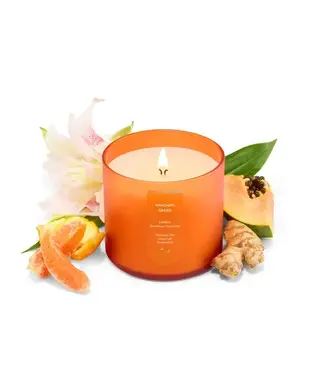 Cue Candles CUE 14 OZ FROSTED ORANGE MANDARIN GINGER