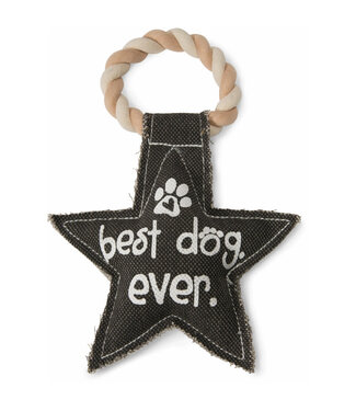 Pavillion Best Dog Ever 9.5inch Canvas Dog Toy on Rope