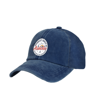 Brief Insanity Drunkest Asshole Faux Suede Patch Adult Cap
