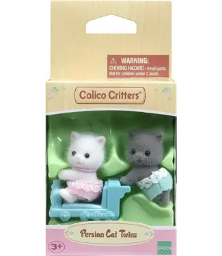 Epoch BL PERSIAN CAT TWINS
