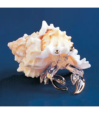 Glass Baron Hermit Crab