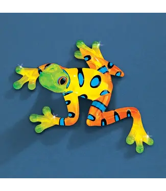 Glass Baron Frog Rain Forest