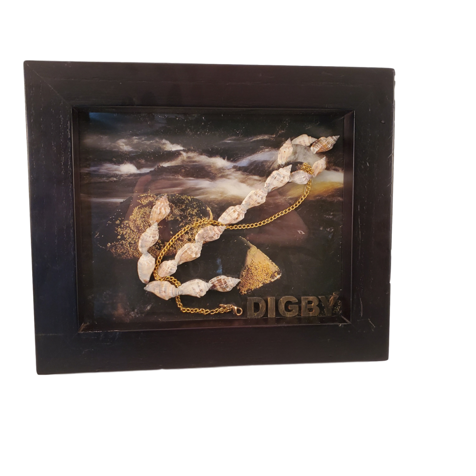 Off The Wall Gallery Shell Anchor 3D Picture