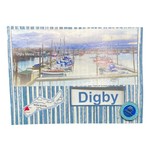 Off The Wall Gallery Digby Marina Note Card