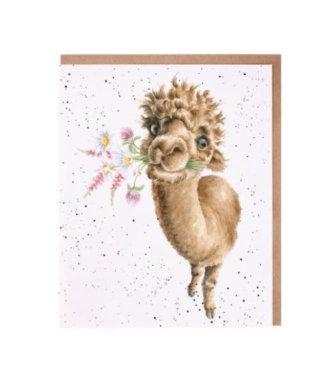 Wrendale Designs Hand-Picked for You Alpaca Card