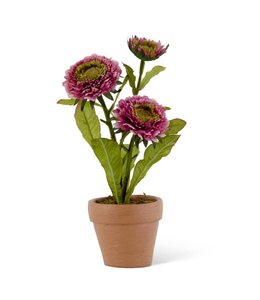 K&K Interiors Triple Head Purple Zinnia in Ceramic Pot