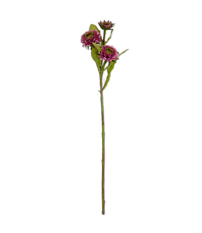 K&K Interiors Triple Head Purple Zinnia Stem