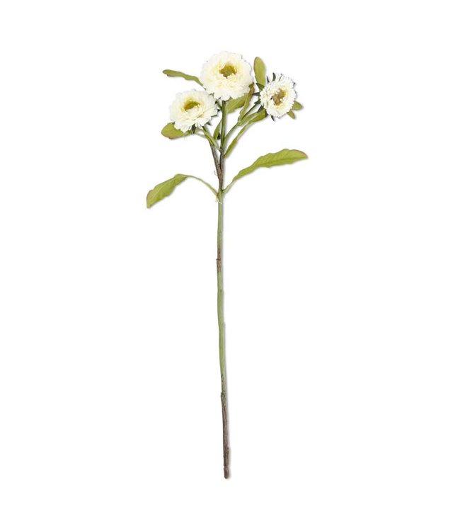 K&K Interiors Triple Head White Zinnia Stem