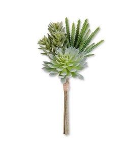 K&K Interiors Green Assorted Succulent Bundle (3 Stems)