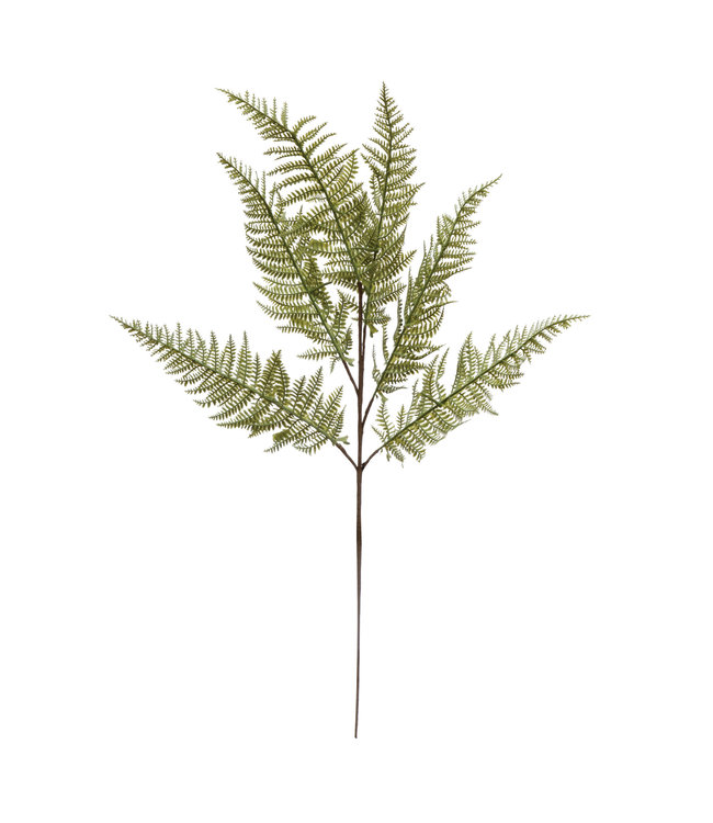 Creative Co-Op Faux Fern Leaves Pick with Ice Finish