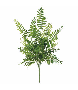 Sullivans Gift Fern Pick