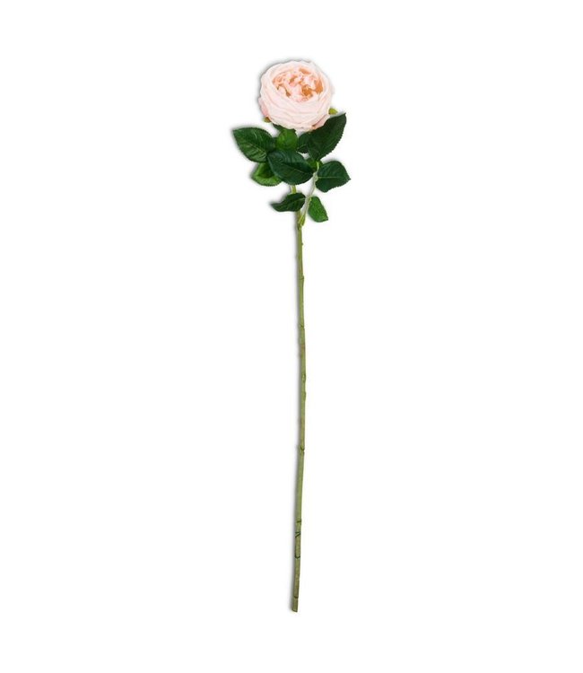 K&K Interiors Peach Real Touch Austin Rose Stem