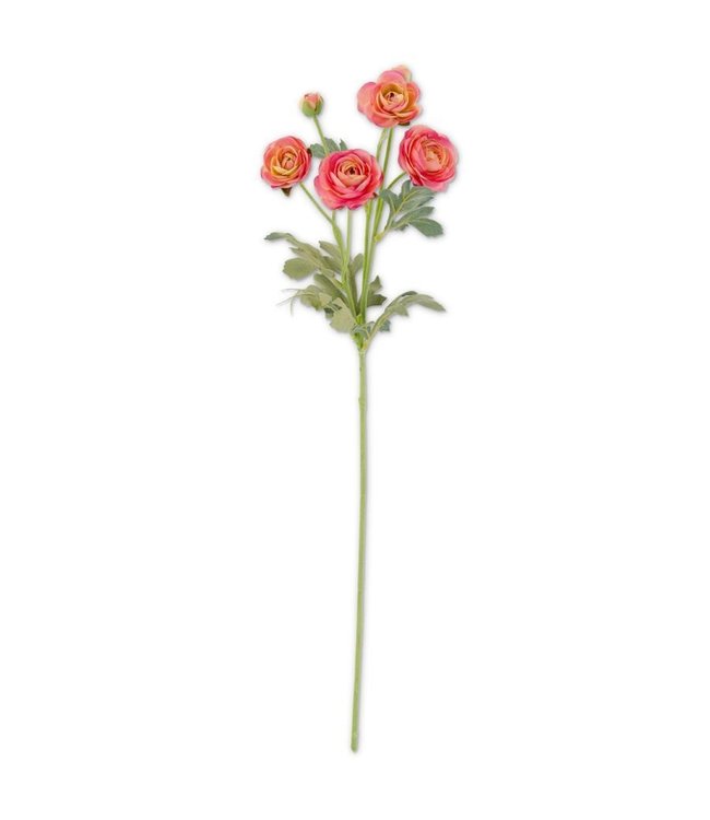 K&K Interiors Pink Ranunculus Spray