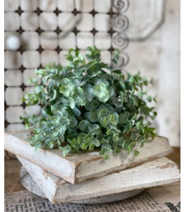 Greenbriar Eucalyptus Half Sphere | 9"