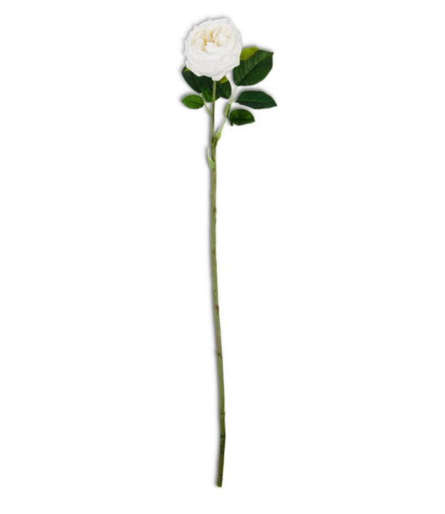 K&K Interiors 24 Inch White Real Touch Austin Rose Stem