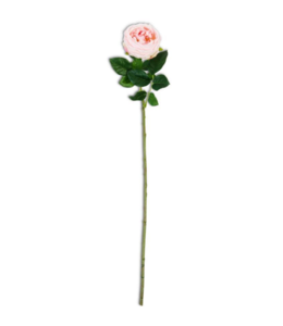 K&K Interiors 24 Inch Pink Real Touch Austin Rose Stem