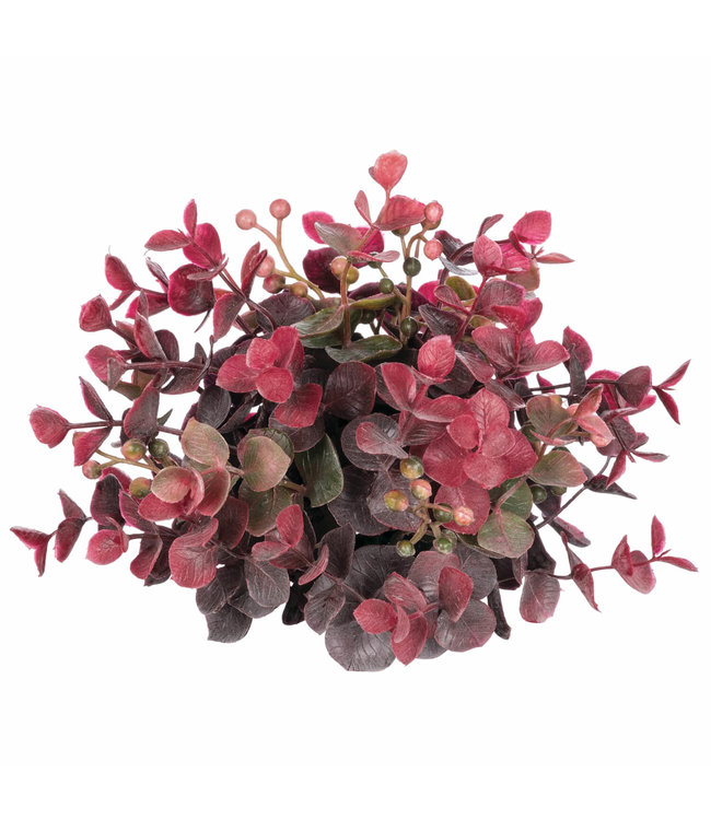 Sullivans Gift Red Eucalyptus Half Orb