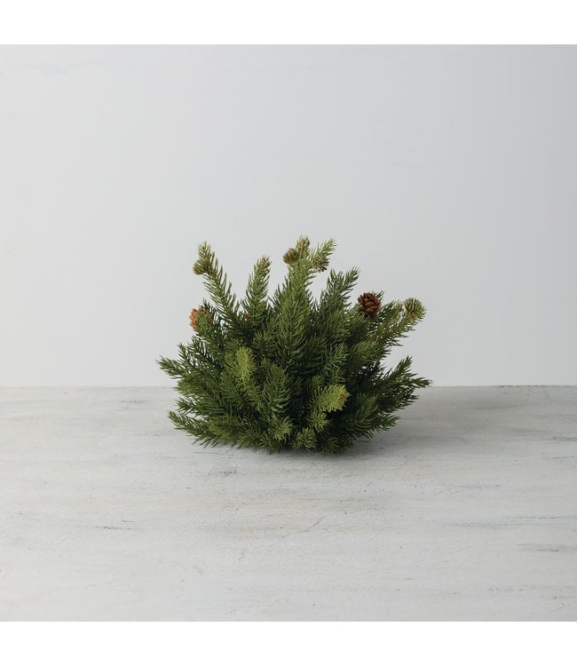 Sullivans Gift White Spruce Half Orb