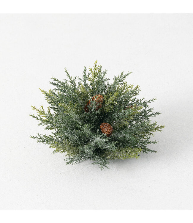 Sullivans Gift Frosted Arborvitae Half Orb