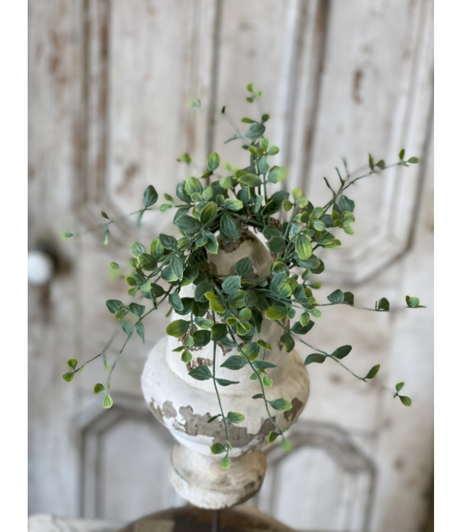 Seraph Vine Candle Ring