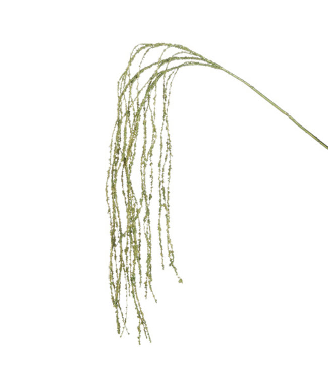 RAZ Imports 51" Weeping Willow Branch