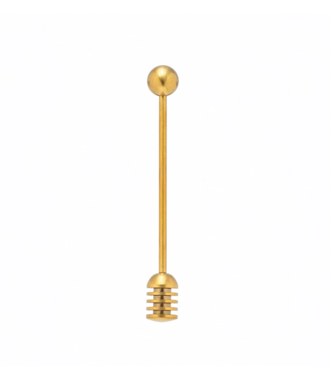 Creative Co-Op Stainless Steel Honey Dipper, Gold Finish