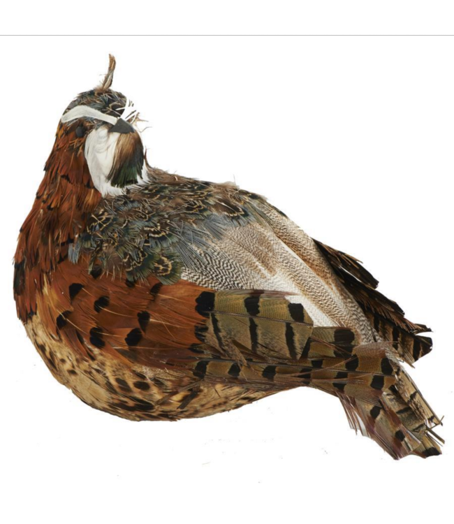 K&K Interiors Brown and Green Feathered Quail