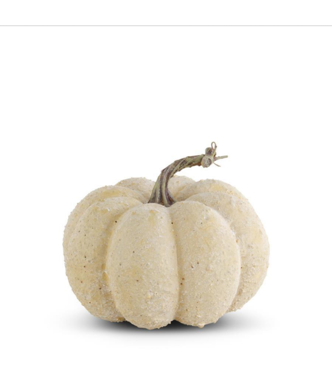 K&K Interiors Cream Whitewashed Textured Pumpkin