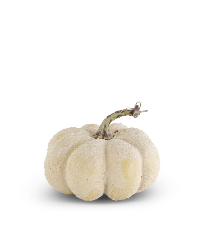 K&K Interiors Cream Whitewashed Textured Pumpkin