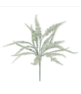 K&K Interiors Powdered Fern Bush