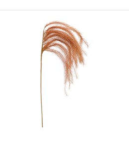 Creative Co-Op Faux Grass Plume, Rose Color