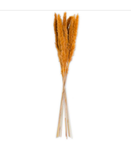 K&K Interiors Orange Pampas Grass Bundle (10-12 Stems)