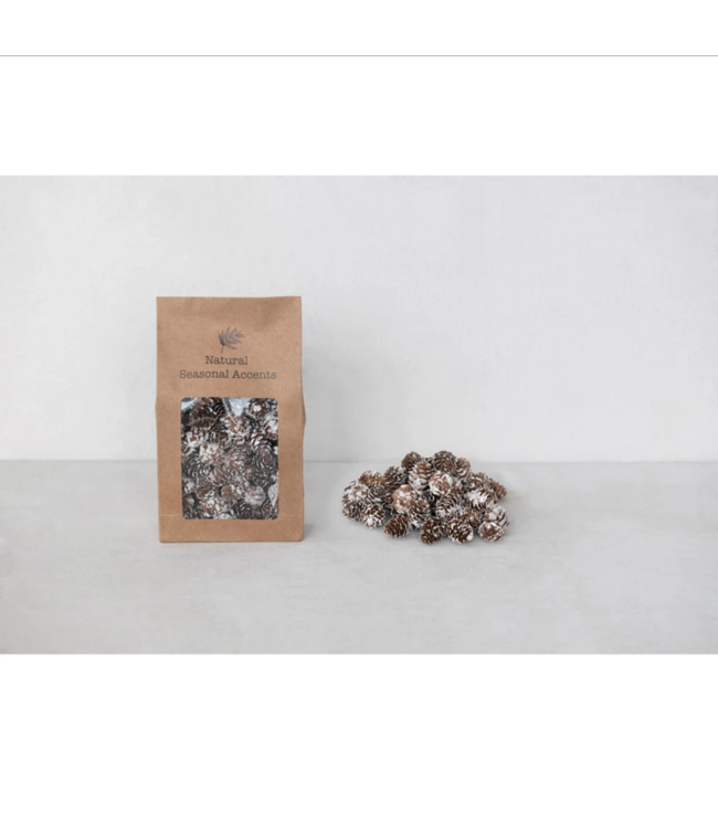 Creative Co-Op Dried Natural Pinecones in Printed Kraft Bag